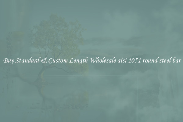 Buy Standard & Custom Length Wholesale aisi 1051 round steel bar