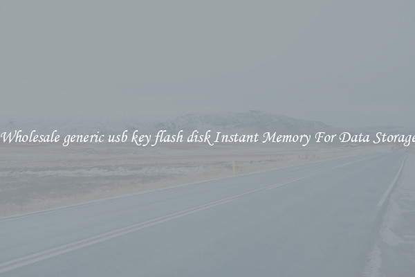 Wholesale generic usb key flash disk Instant Memory For Data Storage