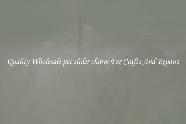 Quality Wholesale pet slider charm For Crafts And Repairs