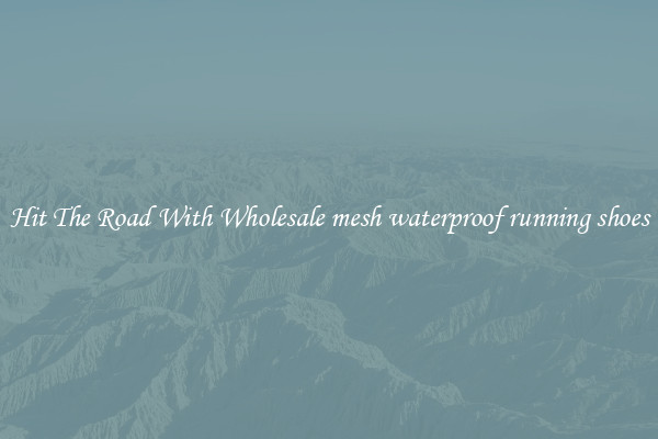 Hit The Road With Wholesale mesh waterproof running shoes