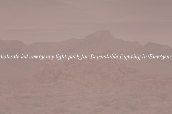 Wholesale led emergency light pack for Dependable Lighting in Emergencies