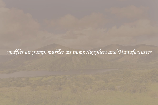muffler air pump, muffler air pump Suppliers and Manufacturers