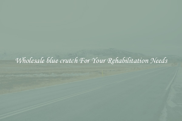 Wholesale blue crutch For Your Rehabilitation Needs