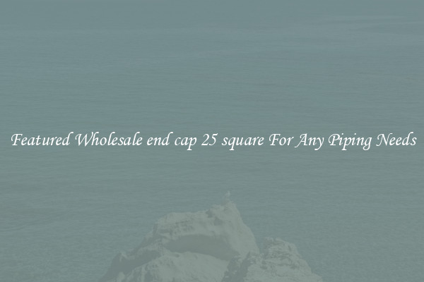 Featured Wholesale end cap 25 square For Any Piping Needs