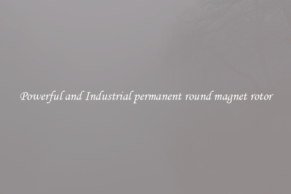 Powerful and Industrial permanent round magnet rotor