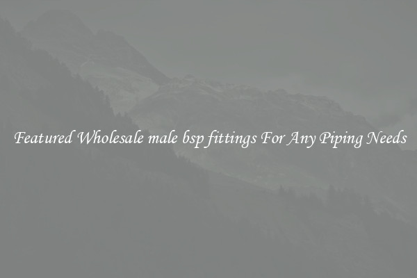 Featured Wholesale male bsp fittings For Any Piping Needs