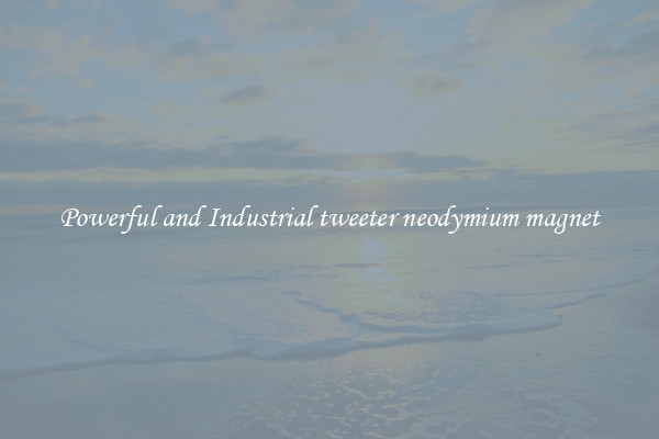 Powerful and Industrial tweeter neodymium magnet