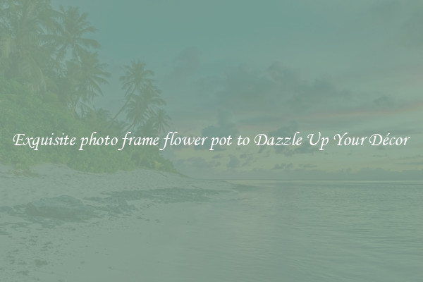 Exquisite photo frame flower pot to Dazzle Up Your Décor 