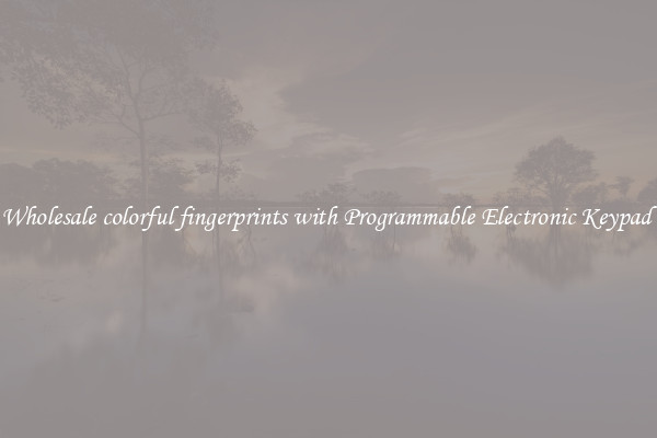Wholesale colorful fingerprints with Programmable Electronic Keypad 
