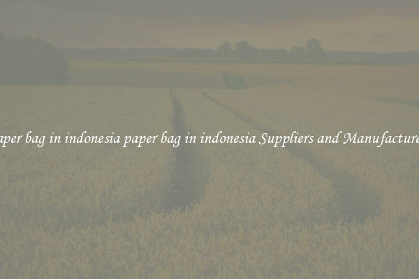 paper bag in indonesia paper bag in indonesia Suppliers and Manufacturers