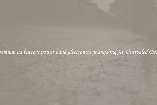Premium aa battery power bank electronics guangdong At Unrivaled Deals